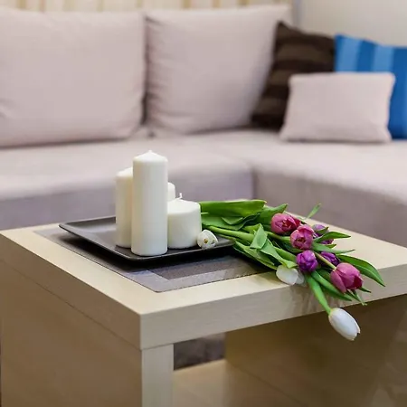 Raugyklos Apartamentai *