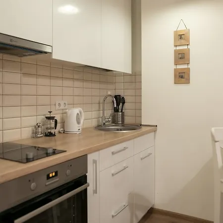Raugyklos Apartamentai Lejlighed