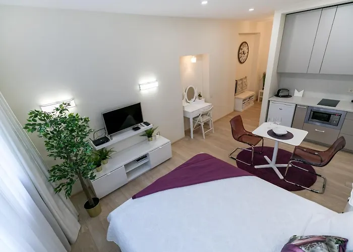 Raugyklos Apartamentai Lejlighed Vilnius