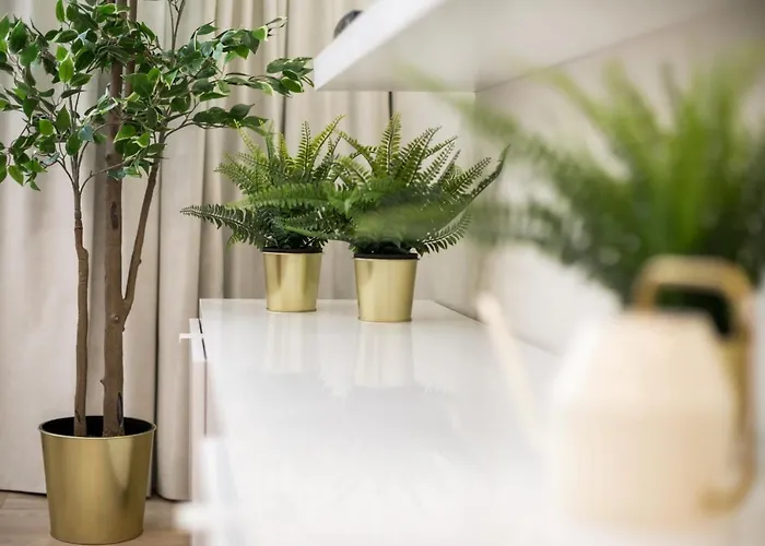 Raugyklos Apartamentai Lägenhet Vilnius