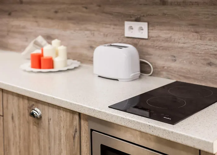 Raugyklos Apartamentai Vilnius