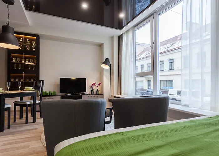 Raugyklos Apartamentai Appartamento