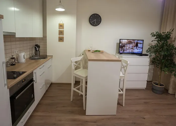 Raugyklos Apartamentai Appartamento